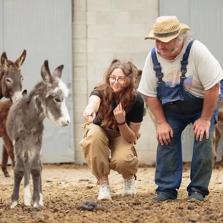 Alloggio per agriturismo Il Bisteca *