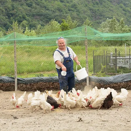 Il Bisteca Agroturismo Morbegno