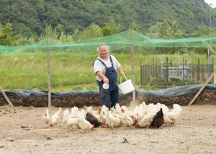 Il Bisteca Séjour à la ferme Morbegno